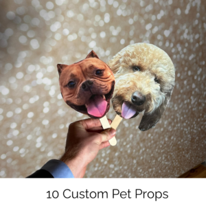 Example of the custom pet props you would get
