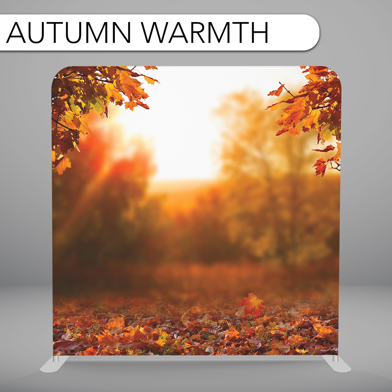 Autumn Warmth Backdrop